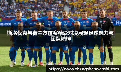斯洛伐克与荷兰友谊赛精彩对决展现足球魅力与团队精神